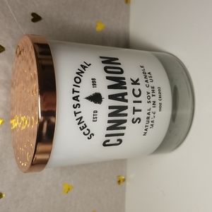 Brand New Scentsational Cinnamon Stick Candle